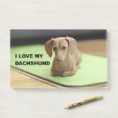 私は私のクリームダシュントが大好き写真 ポストイット (デスク)