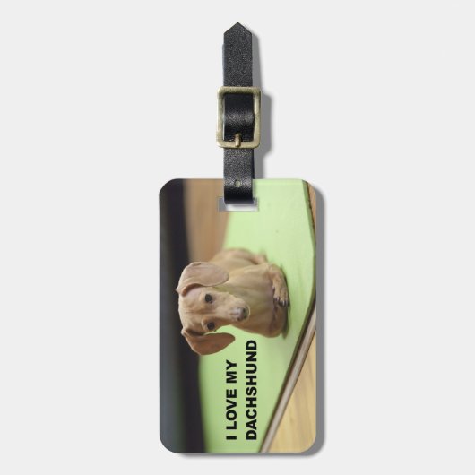 私は私のクリームダシュントが大好き写真 ラゲッジタグ (正面縦)