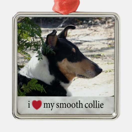 私は私のスムーズなコリー写真クリスマスが大好き メタルオーナメント (正面)