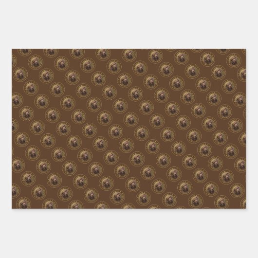 私は私のチェサピーク湾リトリエバーラッピング紙 ラッピングペーパーシート (正面)