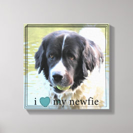 私は私のニューファンドランド・ブラックが大好縁どき キャンバスプリント