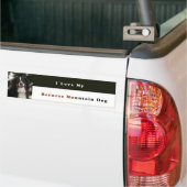 私は私のバーニーズ・マウンテン・ドッグを愛します バンパーステッカー (トラック上)