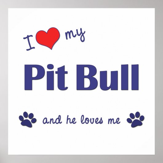 私は私のピットブルが大好き（雄犬） ポスター (正面)