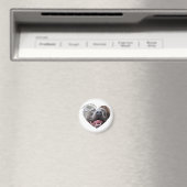 私は私のピットブル犬のカスタム写真が大好き マグネット (インサイチュ (食洗機))