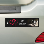 私は私のボストンを愛します バンパーステッカー (車上)
