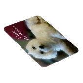 私は私のマルチーズ磁石が大好き マグネット (右側)