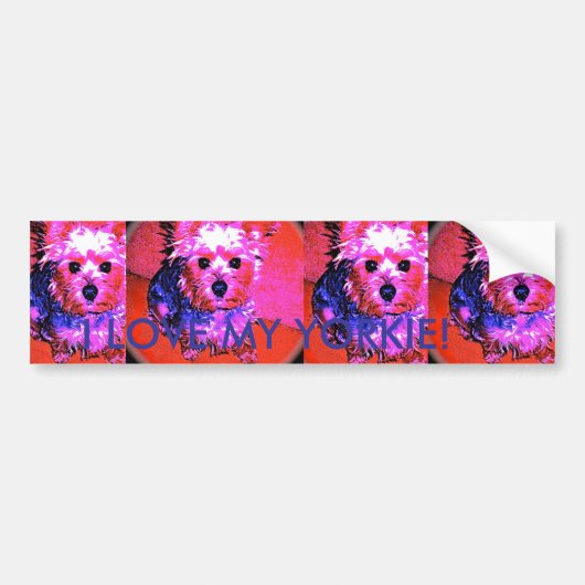 私は私のヨークシャーテリアを愛します! バンパーステッカー (正面)