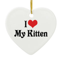 私は私の子猫を愛している