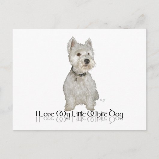 私は私の小さな白い犬が大好き – Westie ポストカード (正面)