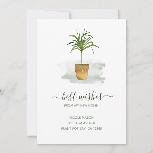私は私の新しい家を移動する鉢植えの手のひら植物を移動した 案内状 (正面)