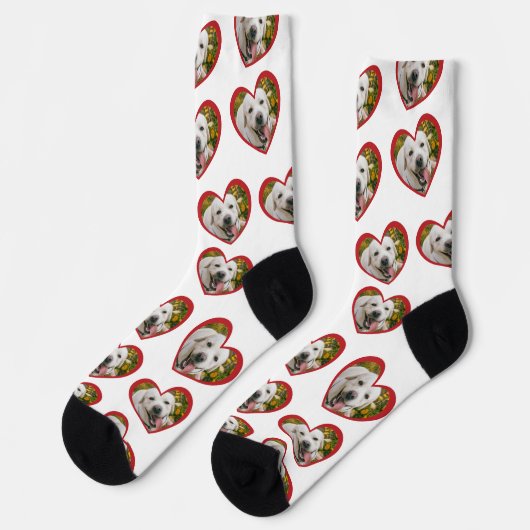 私は私の犬のハートの形の写真の白が大好き ソックス (左)