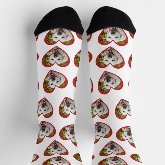 私は私の犬のハートの形の写真の白が大好き ソックス (上部)