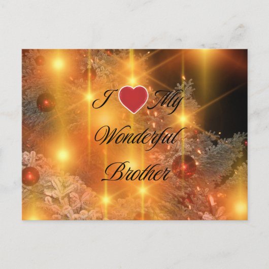 私は私の素晴らしい兄を愛している ポストカード (正面)
