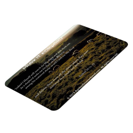 私は私の羊の聖書の引用文を検索する マグネット (左側)