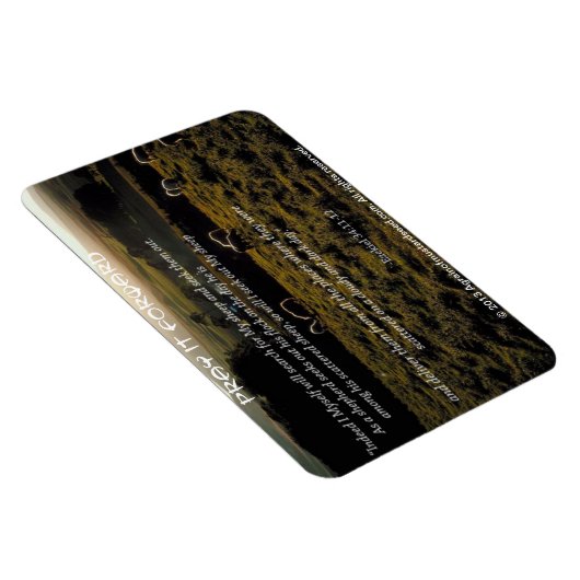 私は私の羊の聖書の引用文を検索する マグネット (右側)