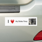私は私の谷の子馬を愛します バンパーステッカー (車上)