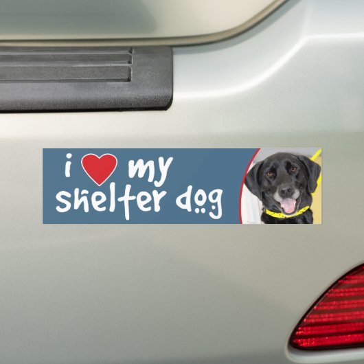 私は私の避難所犬の黒の実験室の組合せを愛します バンパーステッカー (車上)