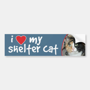 私は私の避難所猫のさらさのバンパーステッカーかデカールを愛します バンパーステッカー
