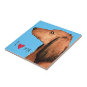 私は私の長髪のダシュント大好き タイル (側面)