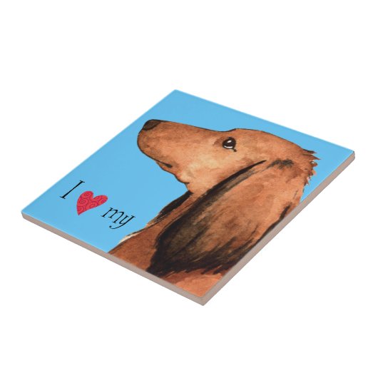 私は私の長髪のダシュント大好き タイル (側面)