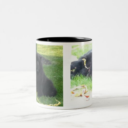 私は私の食事及びコーヒー黒を好みます ツートーンマグカップ (中央)