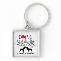 私は私の2つの金髪のポインティンググリフォンが大好き