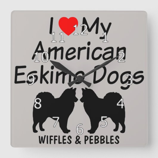 私は私の2匹のアメリカのエスキモー犬を愛します スクエア壁時計 (正面)