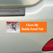 私は私のdumboの耳付つきのラットを愛します バンパーステッカー (車上)