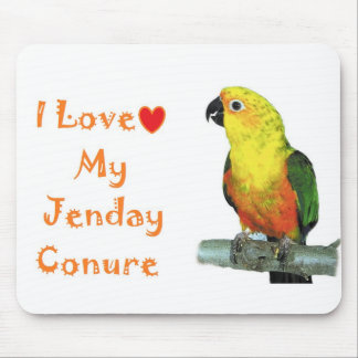 私は私のJenday Conureコンピュータマウスパッドを愛します マウスパッド
