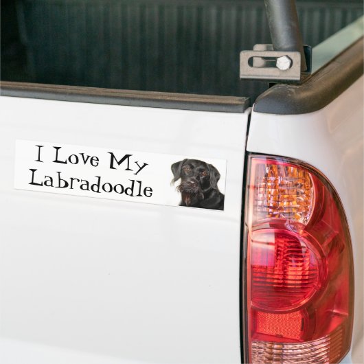 私は私のLabradoodleを愛します バンパーステッカー (トラック上)