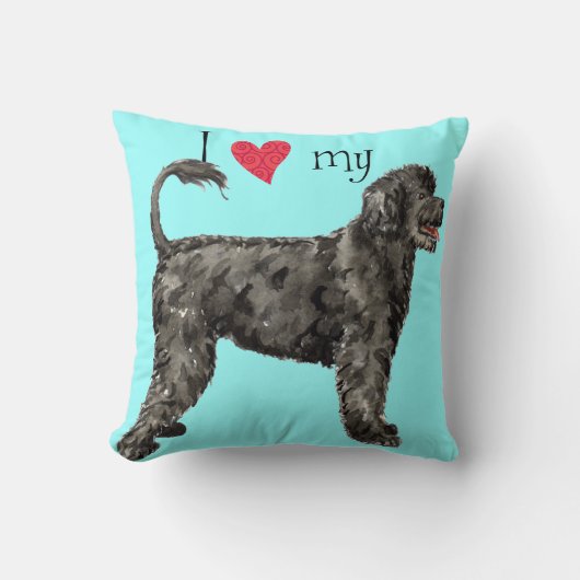 私は私のPWDを愛します クッション (正面)