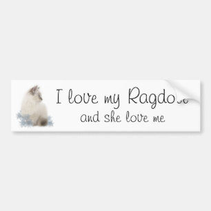私は私のragdollを愛します バンパーステッカー