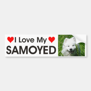 私は私のSamoyedのバンパーステッカーを愛します バンパーステッカー
