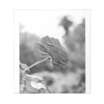 私は私を選択バラ