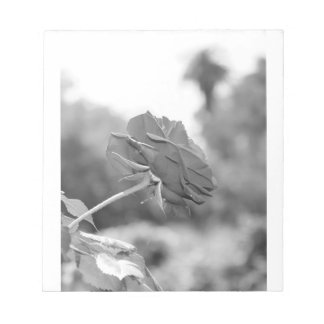 私は私を選択バラ ノートパッド