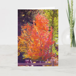 私は秋 シーズンカード