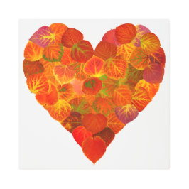 私は秋、微妙な愛 – 赤い《植物》アスペンリーフハート1 メタルプリント
