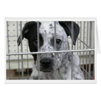 私は組み立てられました!