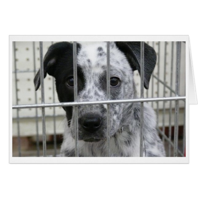 私は組み立てられました! (正面横)