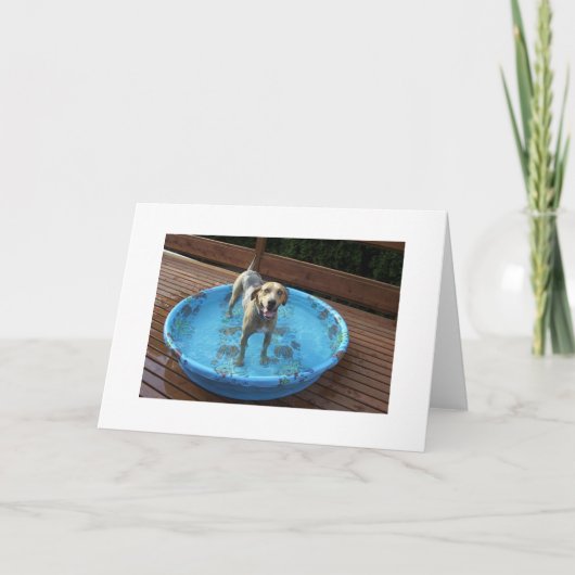 私は美しいですまたは何か。 サンキューカード (正面)