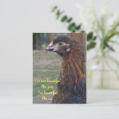 私は美しい…コーチン鶏はがき ポストカード (スタンド正面)