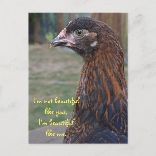 私は美しい…コーチン鶏はがき ポストカード (正面)