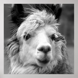 私は美しい ポスター