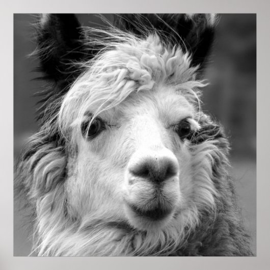 私は美しい ポスター (正面)