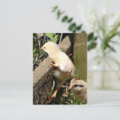 私は考えできる ポストカード (スタンド正面)