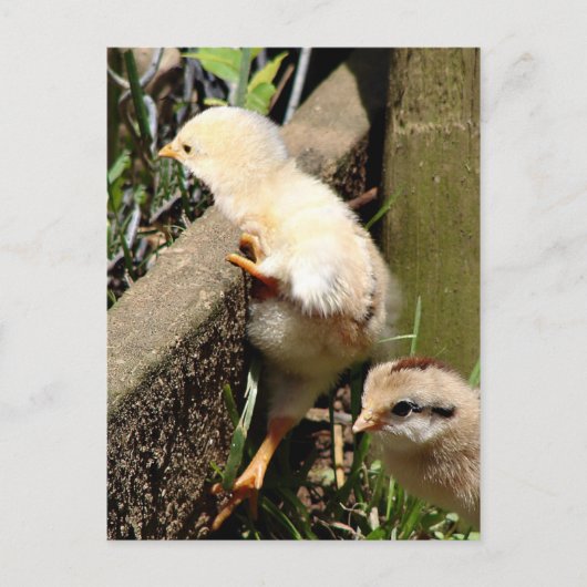 私は考えできる ポストカード (正面)