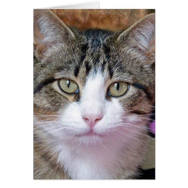 私は考えるだ (正面)