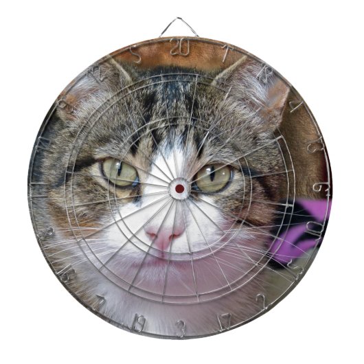 私は考えるだ ダーツボード (正面)