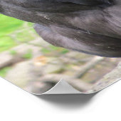 私は考え君が来るつもりで知性があるいた。 ポスター (角)