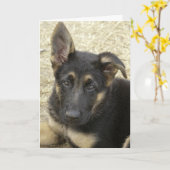 私は耳が良い……グリーティングカード カード (黄色い花)